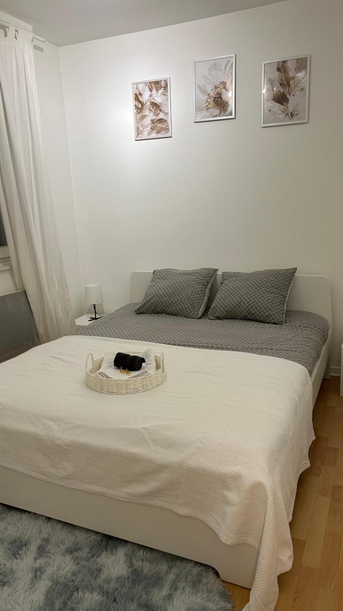 Appartement Frontiere Luxembourg 泰昂维 外观 照片